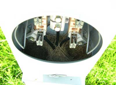 Bluebirds nesting in elecrtical meter box. Photo by Keith Kridler.