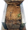 Flying Squirrel nest/roost in regular bluebird box in Tennessee. Bet Zimmerman photo