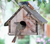 Great-crested Flycatcher adult, photo by Betsy Marie