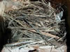 Nest Western Bluebird nest. Linda Violett photo